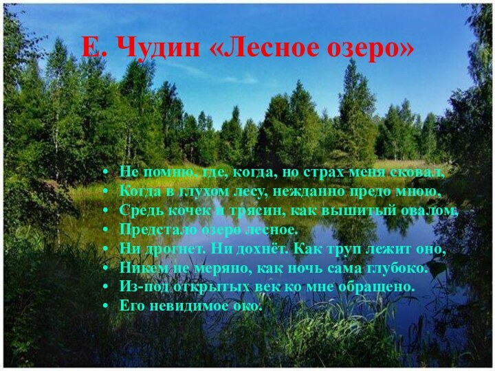 Е. Чудин «Лесное озеро»Не помню, где, когда, но страх меня сковал,Когда в