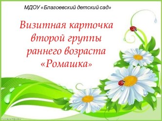 Визитная карточка группы Ромашка презентация к уроку (младшая группа)