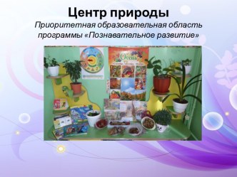 predmetno-razvivayushchaya sreda po fgos dlya sayta2