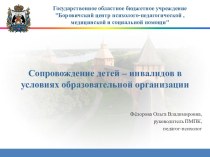 Сопровождение детей - инвалидов в ОО проект