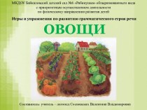 Презентация ОВОЩИ презентация к уроку по развитию речи