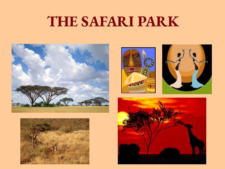 THE SAFARI PARK
