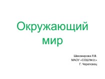 Нервная система человека презентация к уроку по окружающему миру (4 класс)