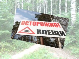 Презентация Осторожно, клещи! презентация к уроку по обж