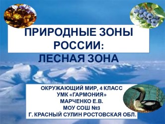 Природные зоны: лесная зона. презентация к уроку по окружающему миру (4 класс)