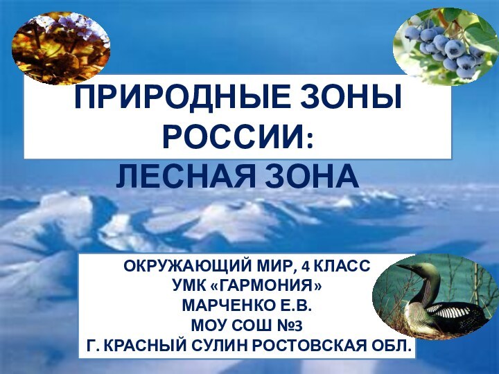 ПРИРОДНЫЕ ЗОНЫ РОССИИ:ЛЕСНАЯ ЗОНАОКРУЖАЮЩИЙ МИР, 4 КЛАССУМК «ГАРМОНИЯ»МАРЧЕНКО Е.В.МОУ СОШ №3Г. КРАСНЫЙ СУЛИН РОСТОВСКАЯ ОБЛ.