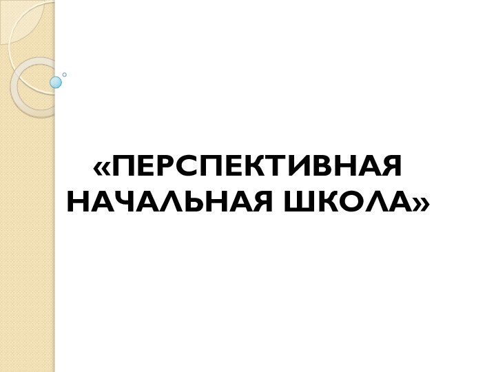 «ПЕРСПЕКТИВНАЯ НАЧАЛЬНАЯ ШКОЛА»