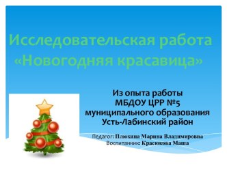 Исследовательская работа Новогодняя красавица воспитатель Плюхина Марина Владимировна презентация по окружающему миру