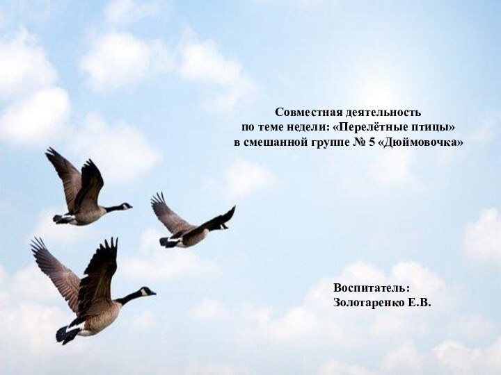 Совместная деятельностьпо теме недели: «Перелётные птицы» в смешанной группе № 5 «Дюймовочка»Воспитатель: Золотаренко Е.В.