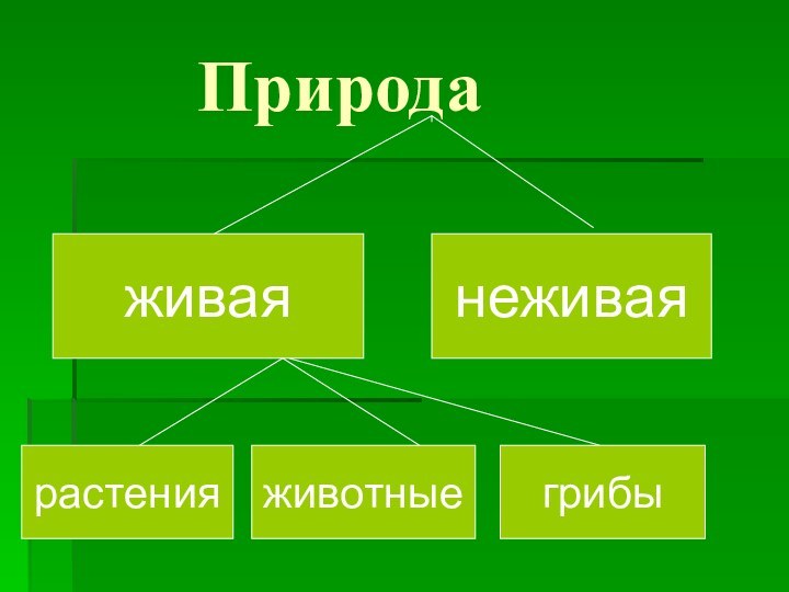 Природаживаянеживаярастенияживотныегрибы