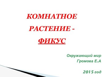 Комнатные растения. Фикус. презентация к уроку по окружающему миру (4 класс)