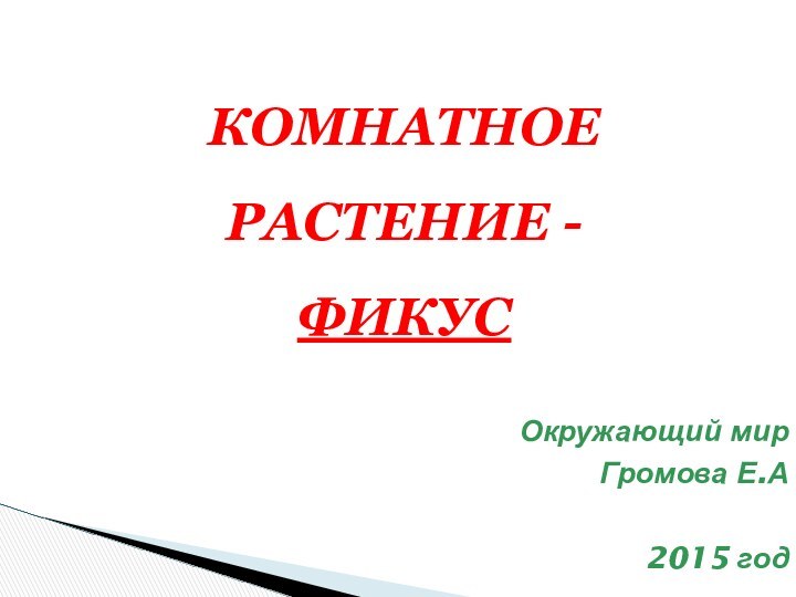 КОМНАТНОЕ РАСТЕНИЕ - ФИКУС   Окружающий мирГромова Е.А2015 год