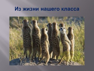 Наша классная жизнь. Презентация презентация к уроку по окружающему миру (2 класс)