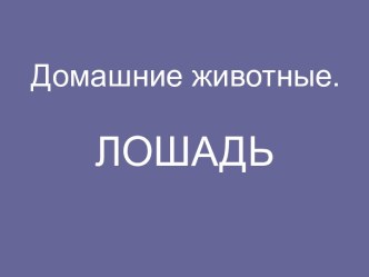 презентация к уроку развития речи. Лошадь презентация к уроку по окружающему миру (4 класс)