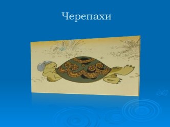 Презентация для детей дошкольного возраста Про черепах презентация к уроку по окружающему миру (средняя группа)