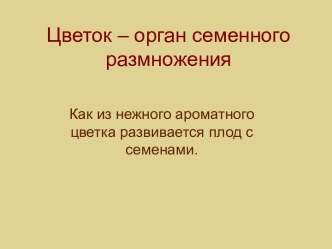 Цветок – орган семенного размножения