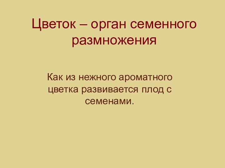 Цветок – орган семенного размноженияКак из нежного ароматного цветка развивается плод с семенами.