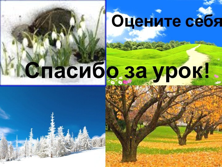 Оцените себя.Спасибо за урок!