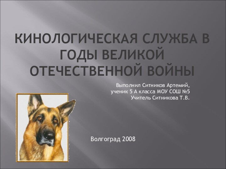 КИНОЛОГИЧЕСКАЯ СЛУЖБА В ГОДЫ ВЕЛИКОЙ ОТЕЧЕСТВЕННОЙ ВОЙНЫВыполнил Ситников Артемий,ученик 5 А класса