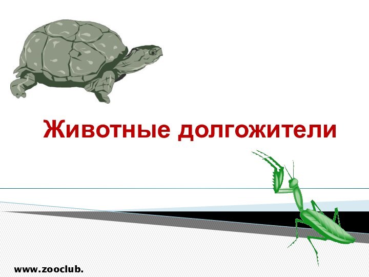 Животные долгожителиwww.zooclub.ru