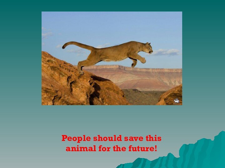 People should save this animal for the future!