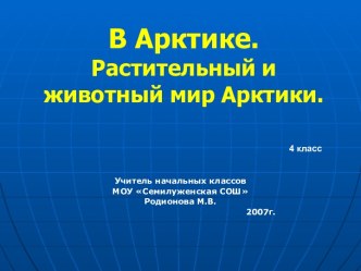 В Арктике. Растительный и животный мир Арктики