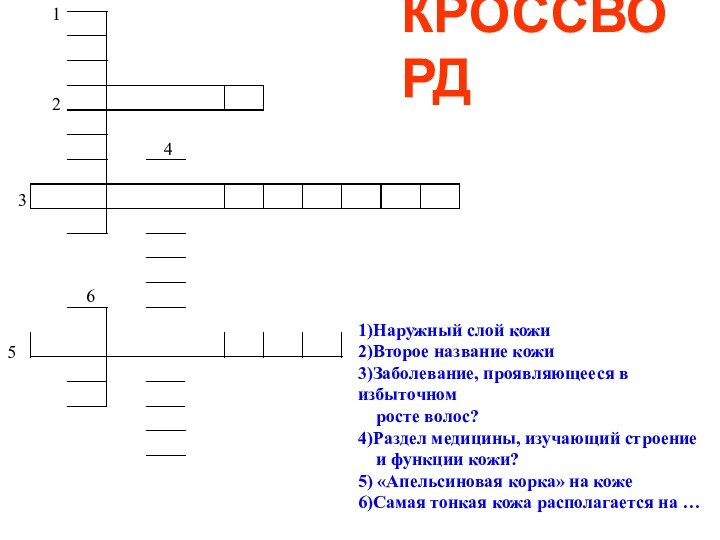 234561)Наружный слой кожи2)Второе название кожи3)Заболевание, проявляющееся в избыточном  росте волос?4)Раздел медицины,