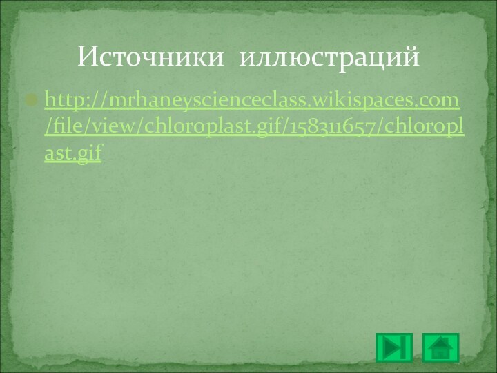 http://mrhaneyscienceclass.wikispaces.com/file/view/chloroplast.gif/158311657/chloroplast.gifИсточники иллюстраций