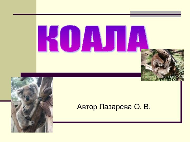 Автор Лазарева О. В.КОАЛА