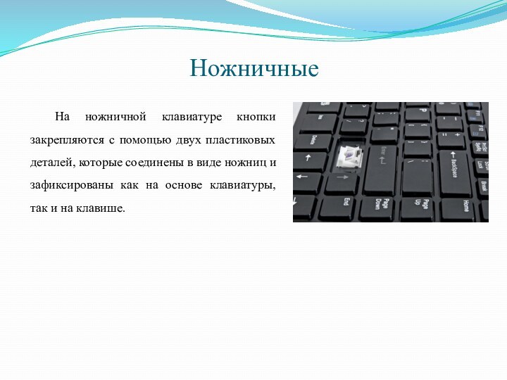 НожничныеНа ножничной клавиатуре кнопки закрепляются с помощью двух пластиковых деталей, которые соединены