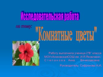 Комнатные цветы (2 класс)