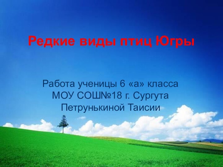 Редкие виды птиц Югры Работа ученицы 6 «а» класса МОУ СОШ№18 г. Сургута Петрунькиной Таисии