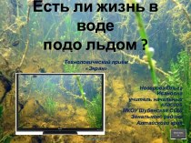 Есть ли жизнь в воде подо льдом?