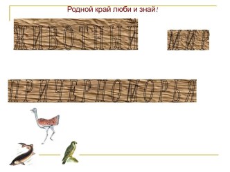 Животный мир причерноморья