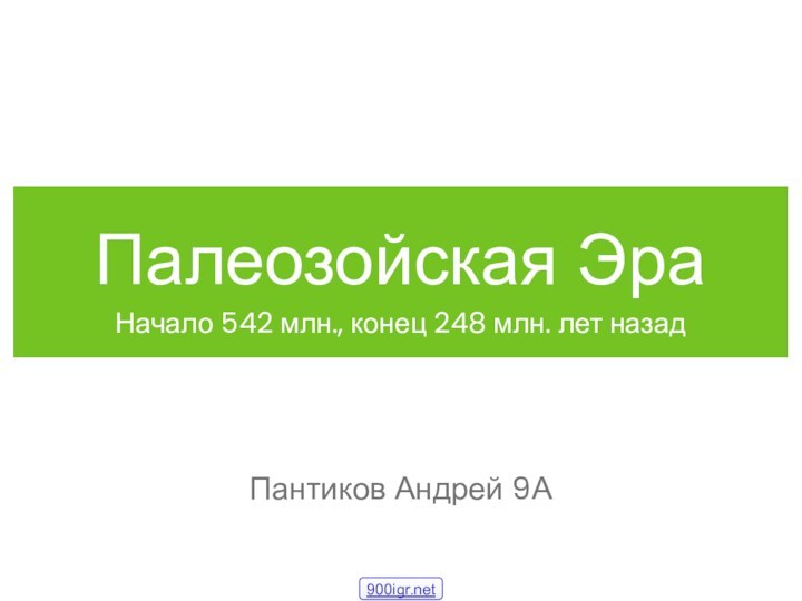 Палеозойская ЭраНачало 542 млн., конец 248 млн. лет назад Пантиков Андрей 9А