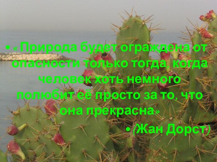 « Природа будет ограждена от опасности только тогда, когда человек хоть немного