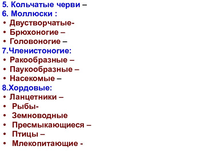 5. Кольчатые черви – 6. Моллюски :Двустворчатые-Брюхоногие –Головоногие –7.Членистоногие:Ракообразные –Паукообразные –Насекомые –8.Хордовые:Ланцетники