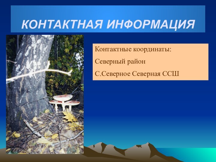 КОНТАКТНАЯ ИНФОРМАЦИЯКонтактные координаты:Северный район С.Северное Северная ССШ