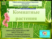Интерактивное пособие Комнатные растения