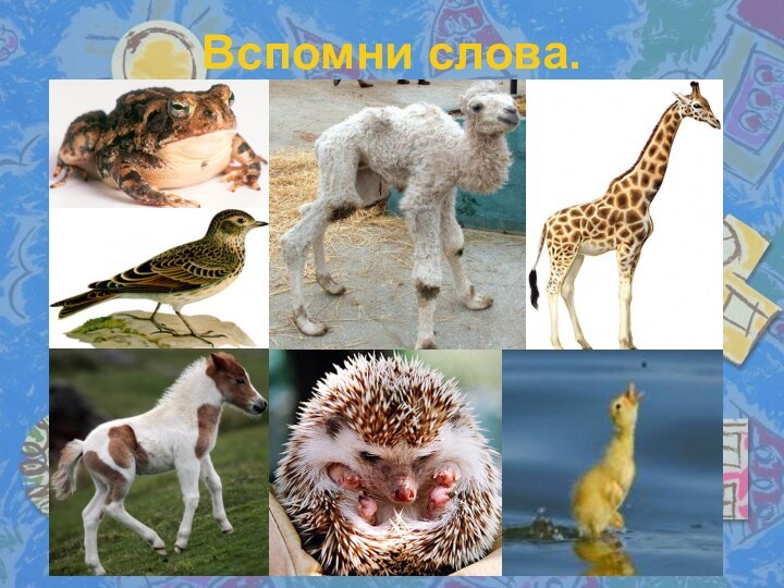 Вспомни слова.