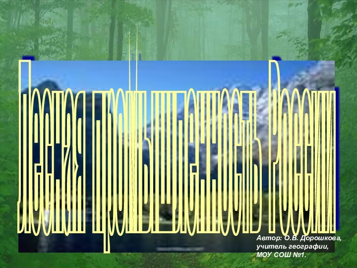 Лесная промышленность России Автор: О.В. Дорошкова, учитель географии, МОУ СОШ №1.