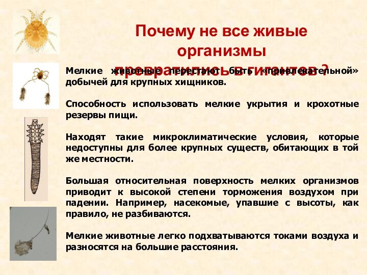 Почему не все живые организмы превратились в гигантов ?Мелкие животные перестают быть