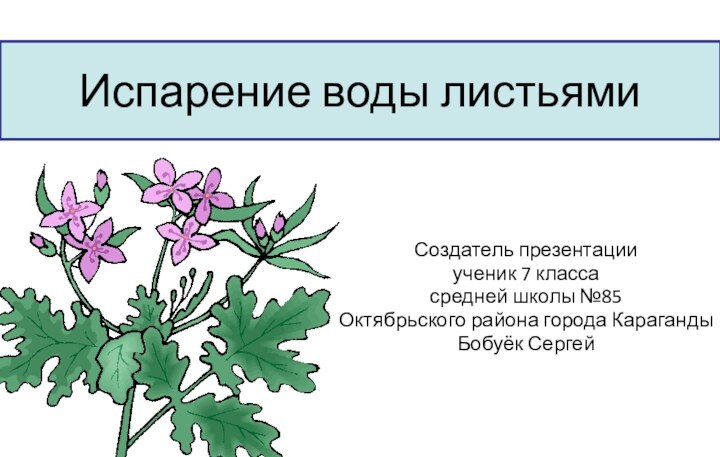 Испарение воды листьямиСоздатель презентацииученик 7 классасредней школы №85Октябрьского района города КарагандыБобуёк Сергей