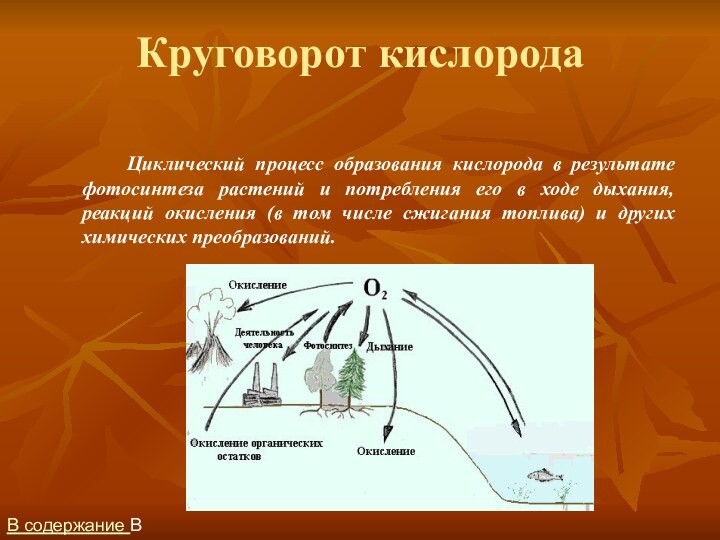 Круговорот кислородаВ содержание В содержание След.		Циклический процесс образования кислорода в результате фотосинтеза