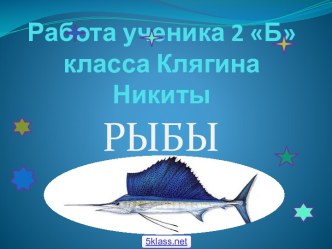 Рыбы 2 класс