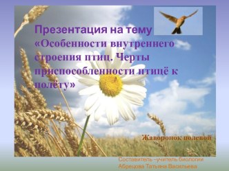 Особенности внутреннего строения птиц. Черты приспособленности птиц к полёту.