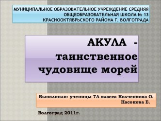 Акула - таинственное чудовище морей