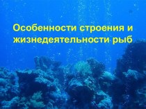 Особенности строения и жизнедеятельности рыб.