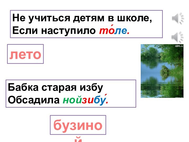 Не учиться детям в школе, Если наступило то́ле.летоБабка старая избу  Обсадила нойзибу́.бузиной