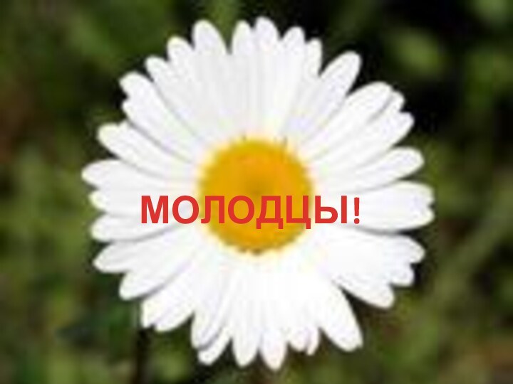 МОЛОДЦЫ!